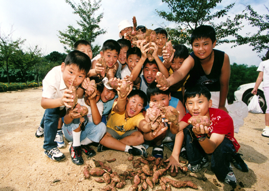 어린이 자연학습원 고구마 수확제